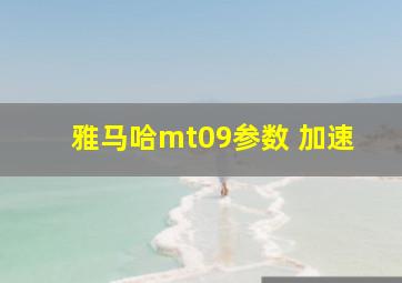 雅马哈mt09参数 加速